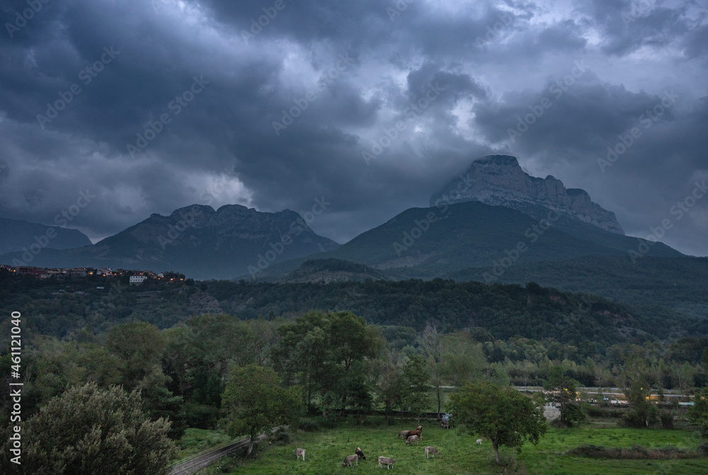 Naklejka premium clouds over the mountains