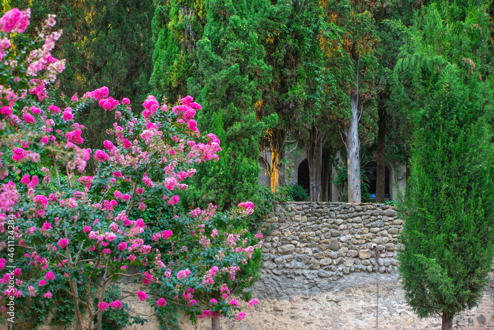 beautiful alley in Bodbe monastery near Sighnaghi in Georgia beautiful alley in Bodbe monastery near Sighnaghi in Georgia