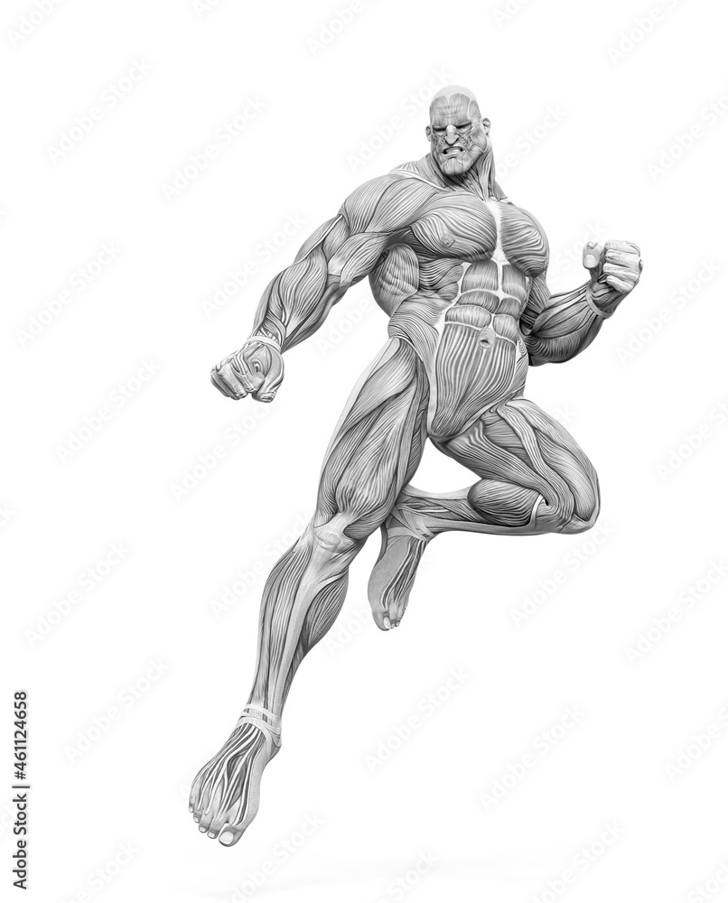 bodybuilder muscle maps is landing in action in white background