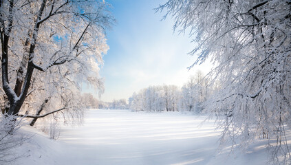 Panorama of beautiful winter park