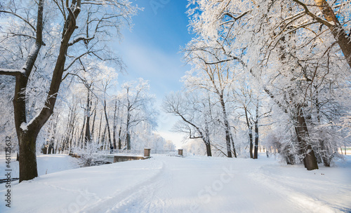 Panorama of beautiful winter park photo