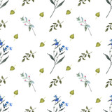 Seamless pattern from a hand-drawn watercolor flowers on a white background. Use for menus, invitations