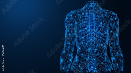 Straight spine. The dorsal part of the human skeleton. A low-poly construction of interconnected lines and dots. Blue background.