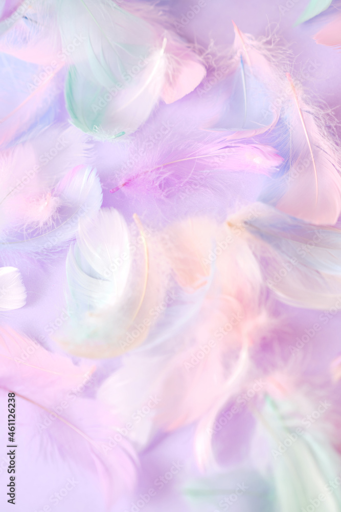 Colorful many feathers on purple fluffy background