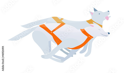Vector illustration with two sled dogs in harness, winter sport