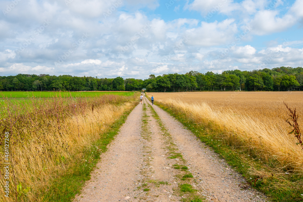 Kids walking on a gravel road with grass fields on either side. Kids walking on a gravel road with grass fields on either side.