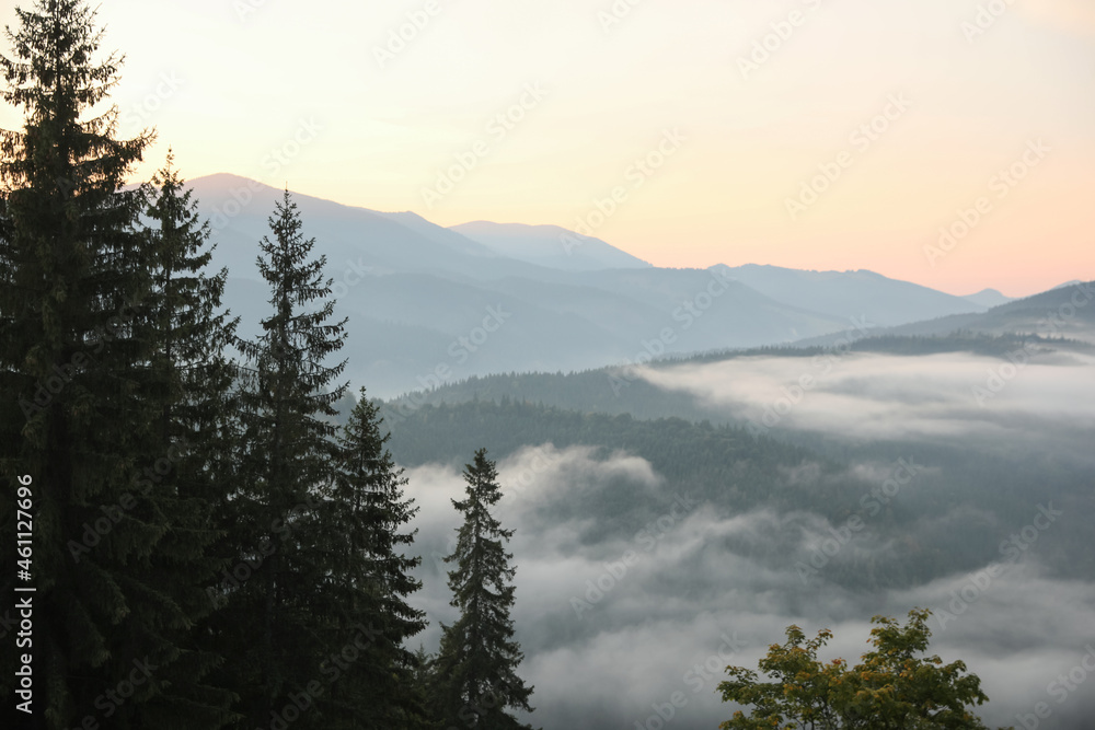 Beautiful view of mountains covered with fog