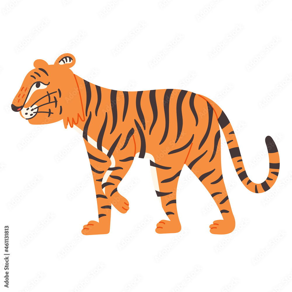 Chinese tiger coming