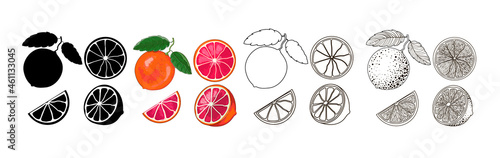 Four sets of grapefruits - black silhouette, cartoon, doodle and outline style. One grapefruit on a twig with two leaves, half and two wedges isolated on a white background. Vector