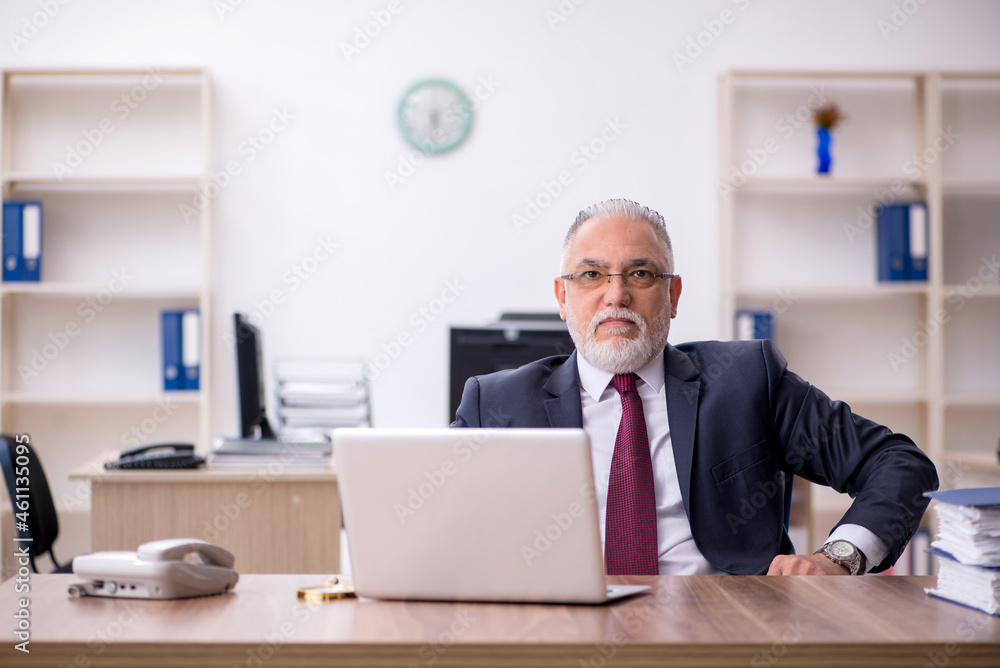 Old male employee working in the office Old male employee working in the office
