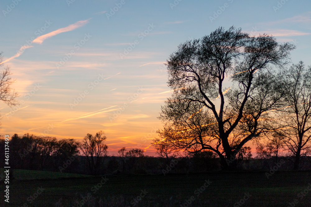 Naklejka premium Rural Sunset