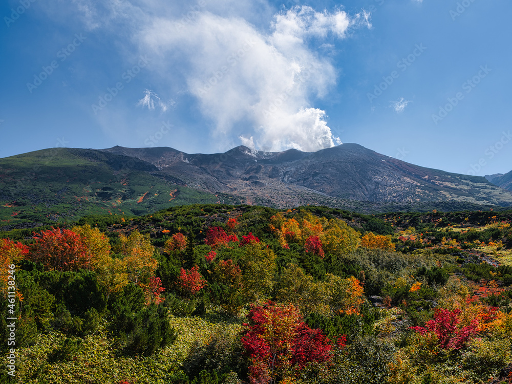 望岳台の紅葉と噴煙 