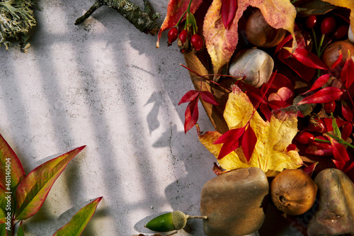 Plantilla otoñal sombra de ventana