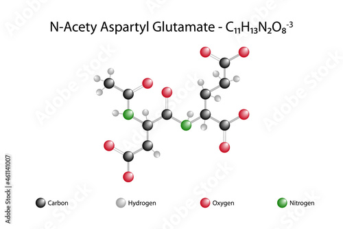Molecular formula of N-Acetyl aspartyl glutamic acid. N-Acetyl aspartyl is the glutamic acid peptide neurotransmitter and the third most common neurotransmitter in the mammalian nervous system. photo