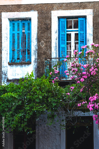 Bush in front of townhouse with blue shutters © Viviana