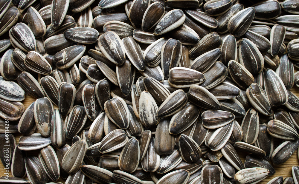 background from striped seeds. a lot of seeds on the table. design for snacks. background from striped seeds. a lot of seeds on the table. design for snacks.