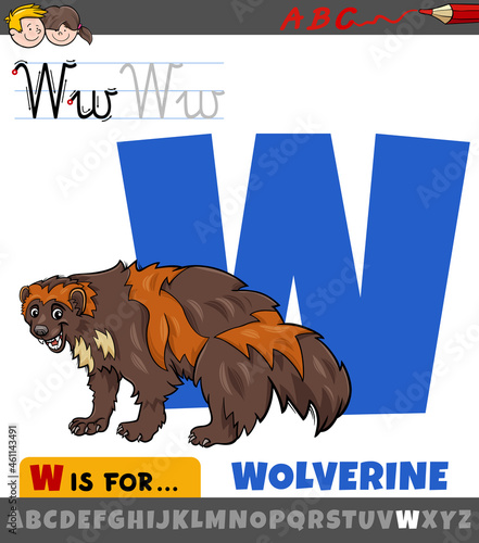 letter W from alphabet with cartoon wolverine animal character