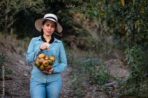 Latin woman, peasant. harvesting oranges. fruits of the field woman in the field. agricultural latina. fruit trees, field. in the path. happy. showing his harvest.