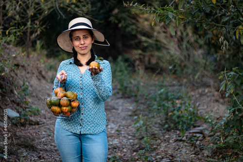 Latin woman, peasant. harvesting oranges. fruits of the field woman in the field. agricultural latina. fruit trees, field. in the path. happy. showing his harvest.