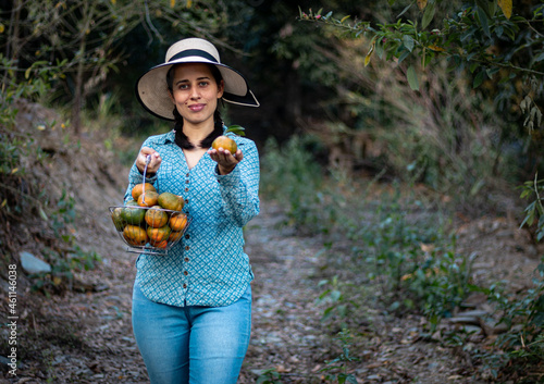 Latin woman, peasant. harvesting oranges. fruits of the field woman in the field. agricultural latina. fruit trees, field. in the path. happy. showing his harvest.