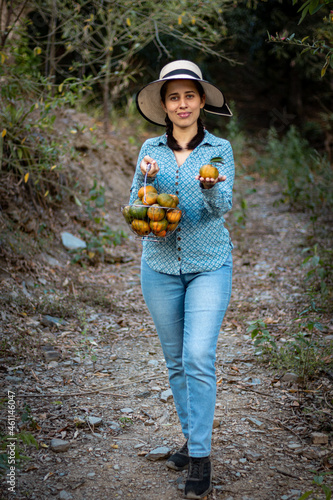 Latin woman, peasant. harvesting oranges. fruits of the field woman in the field. agricultural latina. fruit trees, field. in the path. happy. showing his harvest.
