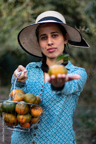 Latin woman, peasant. harvesting oranges. fruits of the field woman in the field. agricultural latina. fruit trees, field. in the path. happy. showing his harvest.