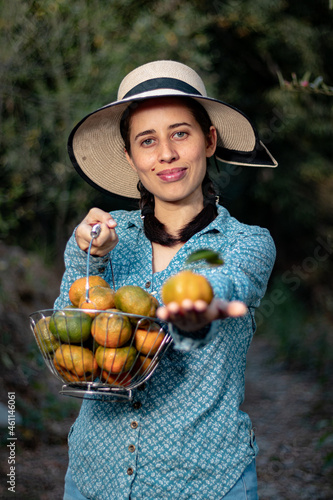 Latin woman, peasant. harvesting oranges. fruits of the field woman in the field. agricultural latina. fruit trees, field. in the path. happy. showing his harvest.