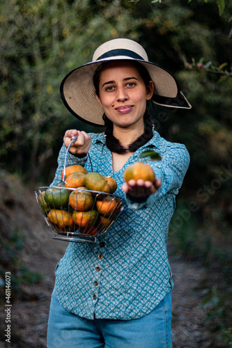 Latin woman, peasant. harvesting oranges. fruits of the field woman in the field. agricultural latina. fruit trees, field. in the path. happy. showing his harvest.