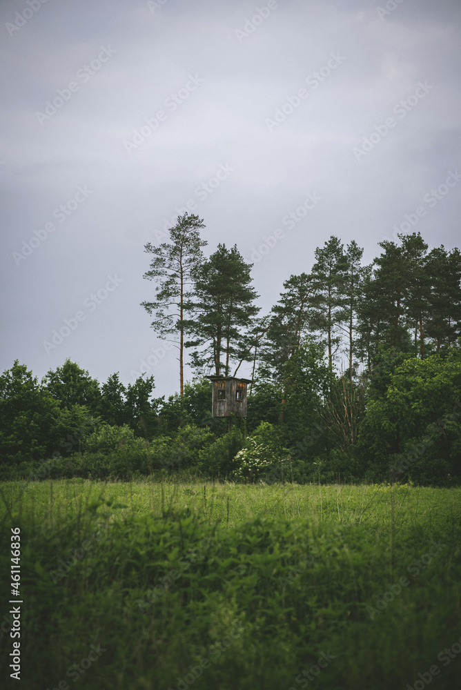 Fototapeta premium beautiful green Carpathian forests and green glade with a panoramic observation booth on a cloudy day, front view overall plan