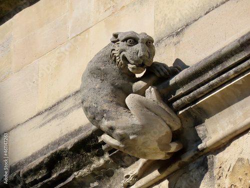 Fotografia Lion gargoyle of gothic Cathedral in Winchester, England, UK