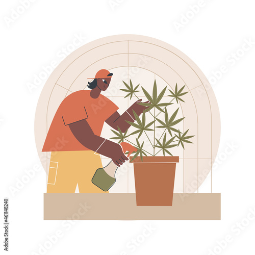 Cannabis cultivation abstract concept vector illustration. Cannabis farm, medical marijuana cultivation, CBD business, indoors growing equipment, greenhouse, recreational drug abstract metaphor.