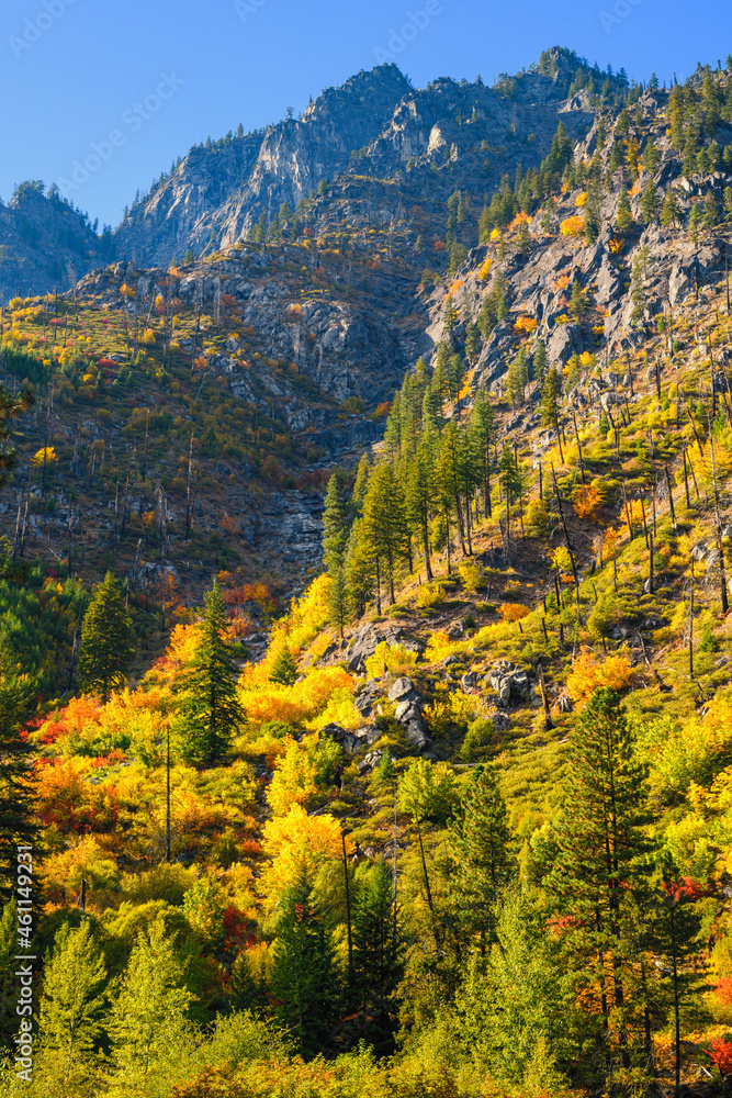 Fall colors illuminate the walls of Tumwater Canyon near Leavenworth in the Washington Cascade Mountains