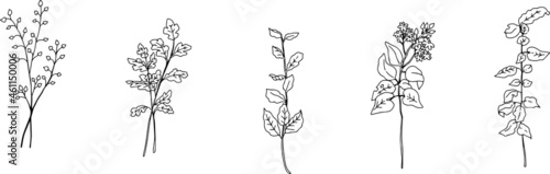 シンプルな葉っぱの挿絵イラスト