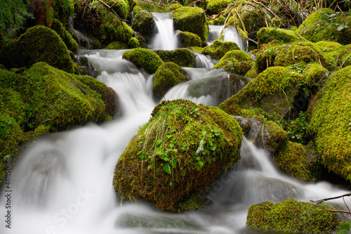 Small waterfall cascades over mossy rocks