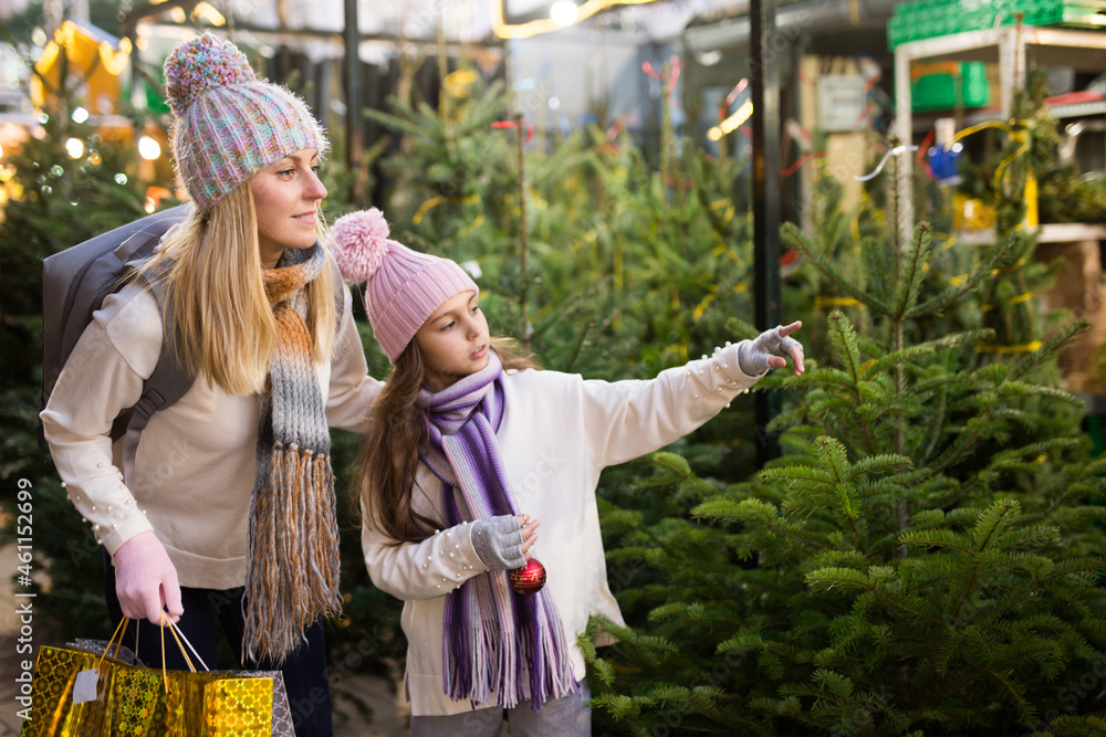Friendly family of mother and teen daughter having fun on outdoor fair, choosing fir tree for New Year celebration
