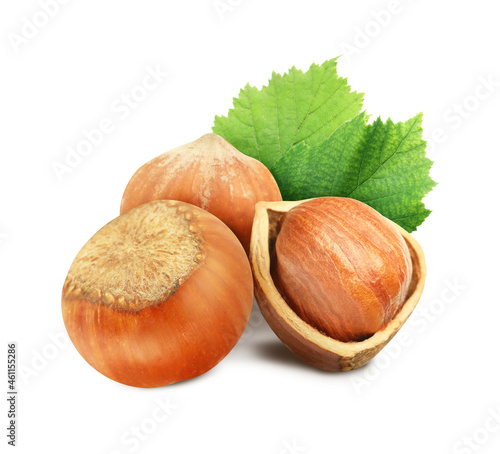Tasty hazelnuts and green leaves on white background
