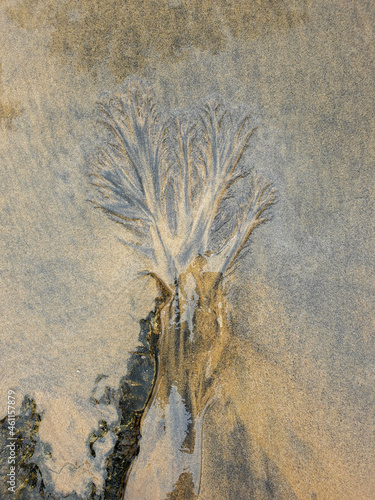 The pattern resembles a picture of a tree on the beach.