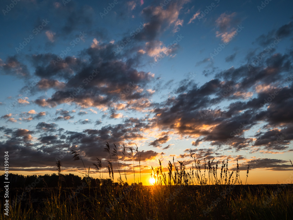 Fototapeta premium Beautiful clouds during sunset over the field