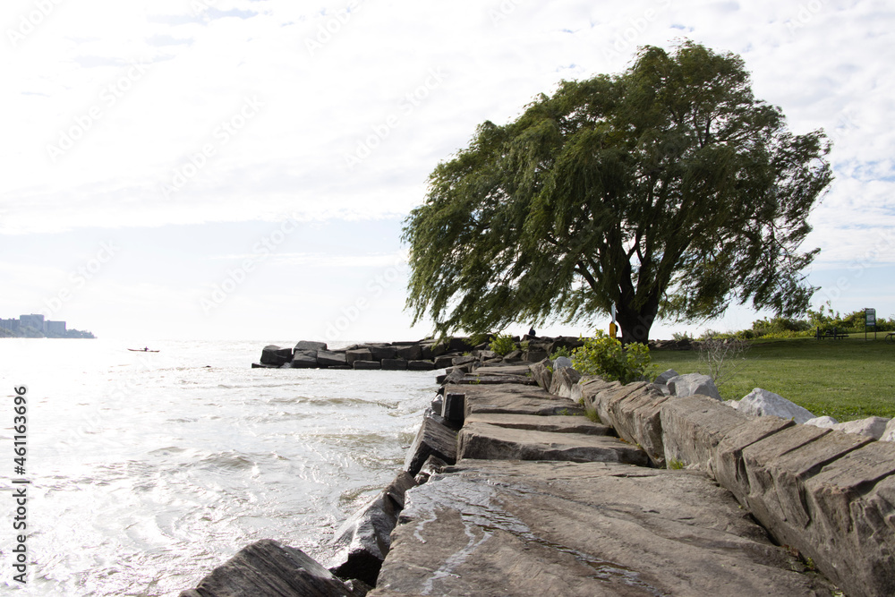 Rocky coastline 