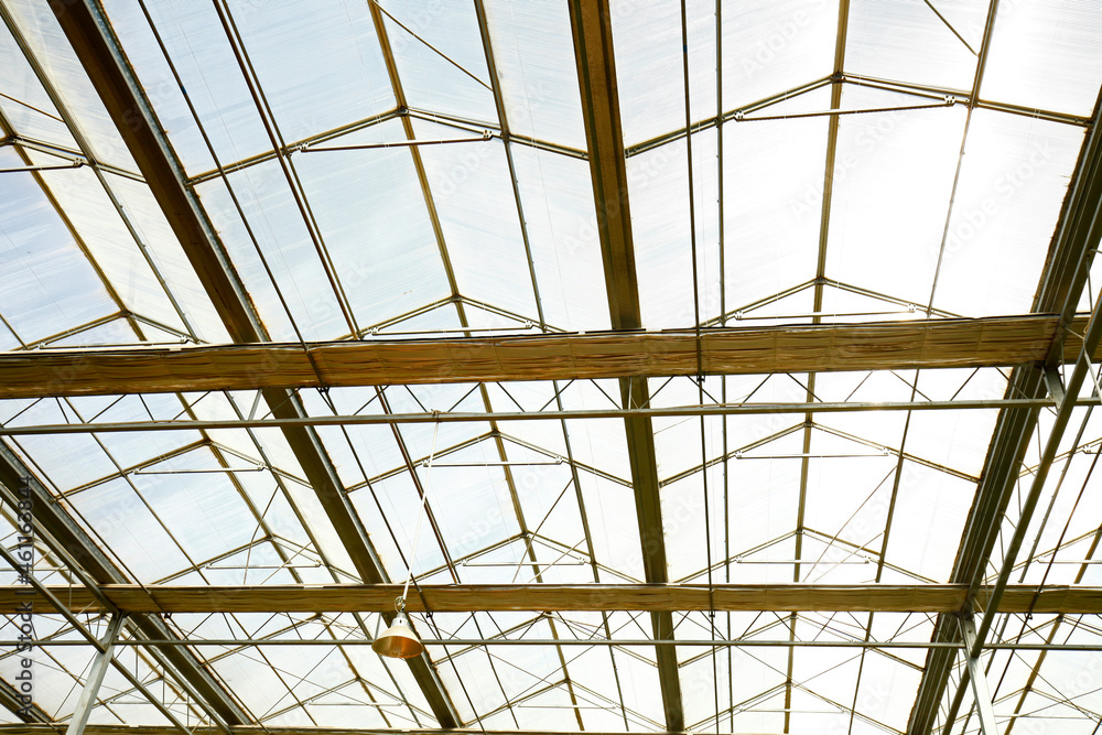 Steel structure building Steel structure building