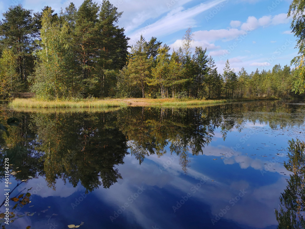 Obraz premium The mirror surface of a forest lake, in which trees and the sky with beautiful clouds are reflected.