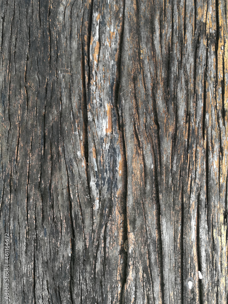 Old wood texture. Abstract background, Surface of old wood background for design and decoration. Old wood texture. Abstract background, Surface of old wood background for design and decoration.