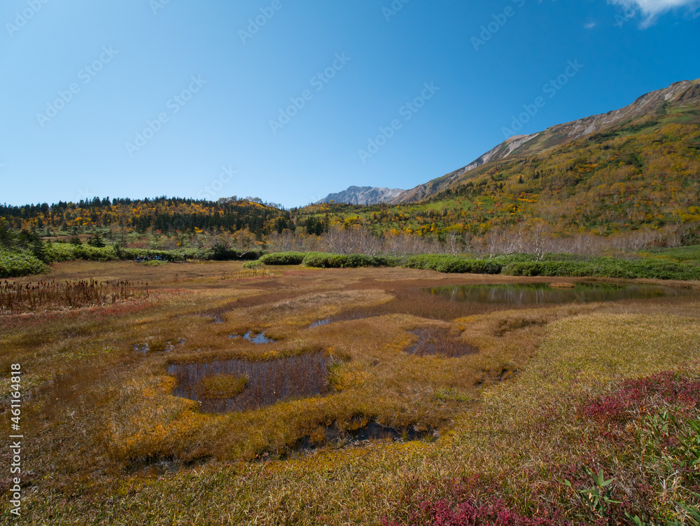 紅葉の栂池自然園（浮島湿原）