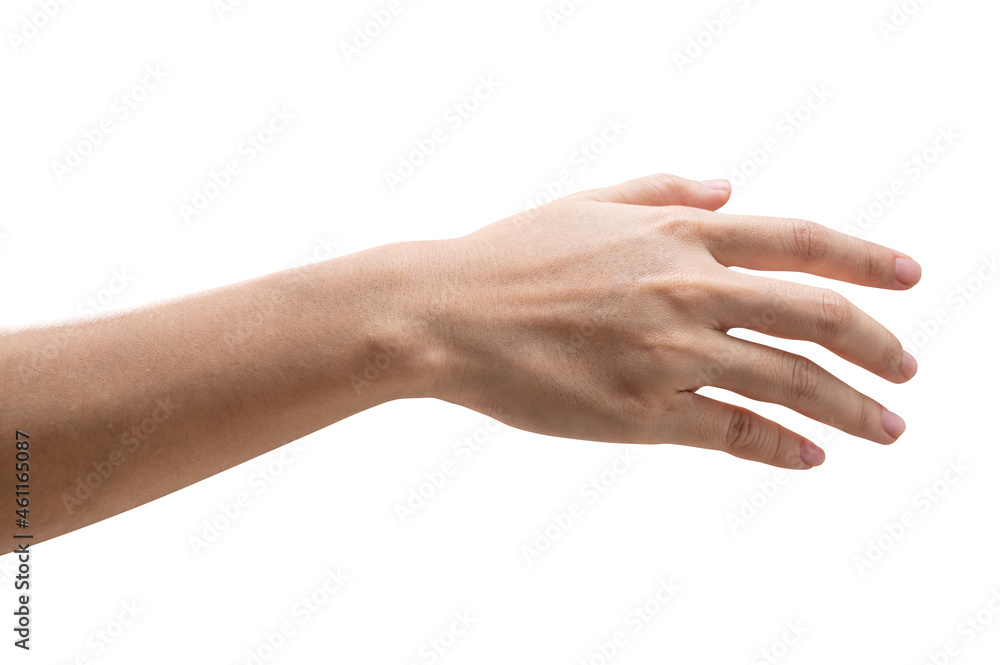 Woman hand reach and ready to help or receive. Gesture isolated on white background. Woman hand reach and ready to help or receive. Gesture isolated on white background.
