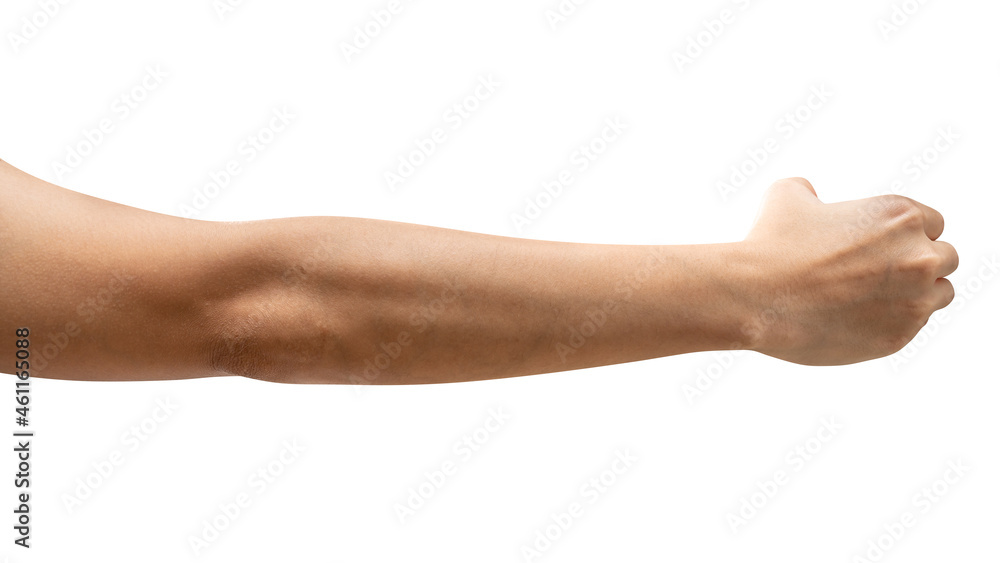 isolated of woman hand holding something like a bottle or can. isolated of woman hand holding something like a bottle or can.