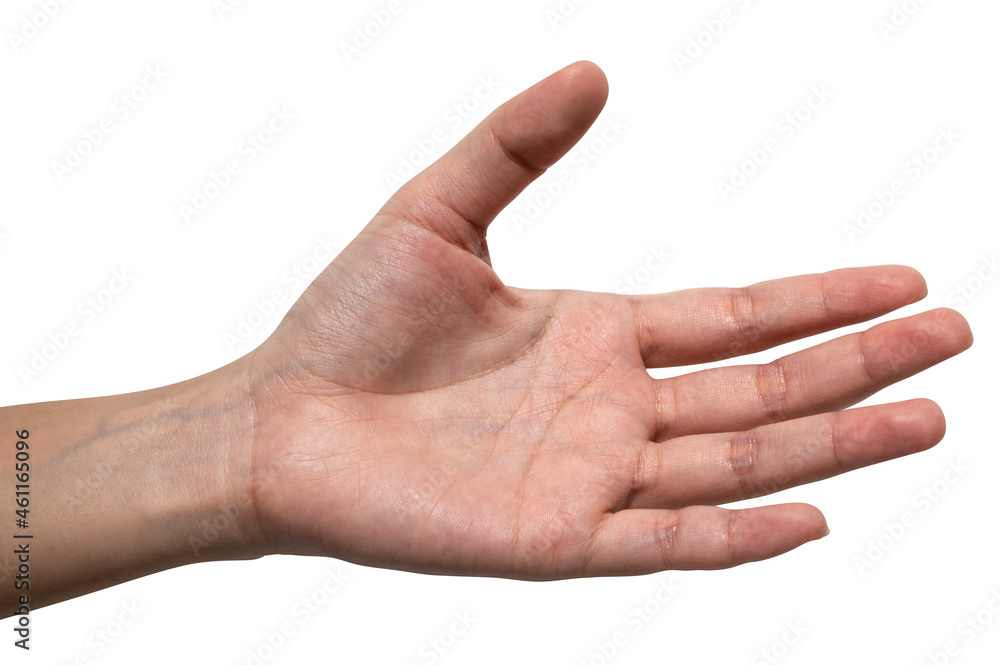 Woman hand reach and ready to help or receive. Gesture isolated on white background. Woman hand reach and ready to help or receive. Gesture isolated on white background.