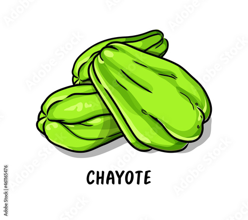 A full chayote and a sliced chayote which is sliced half , vector, color drawing or illustration. photo