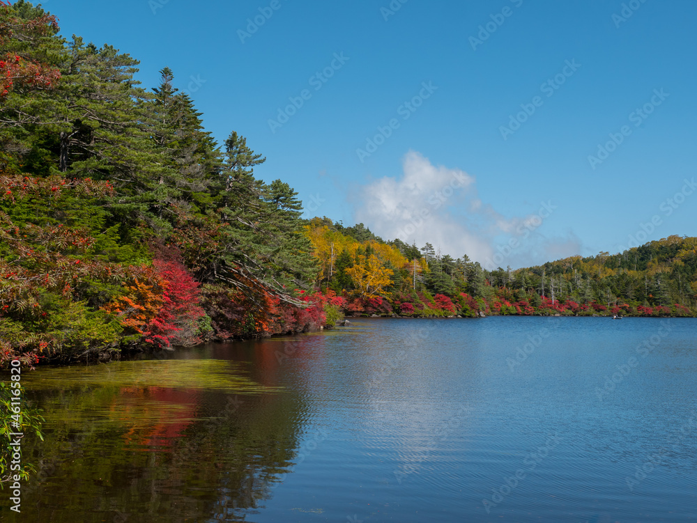 長野・紅葉の白駒の池 長野・紅葉の白駒の池