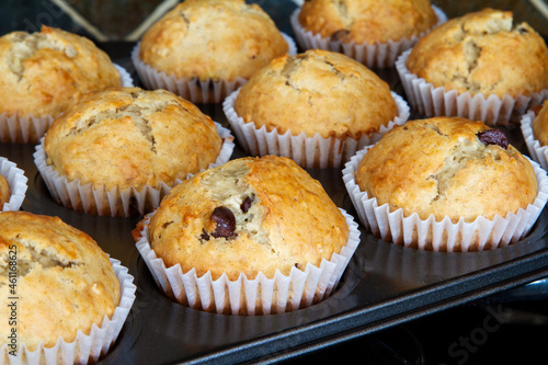 Freshly baked homemade banana chocolate chip muffins; Out of the oven muffins in muffin cups