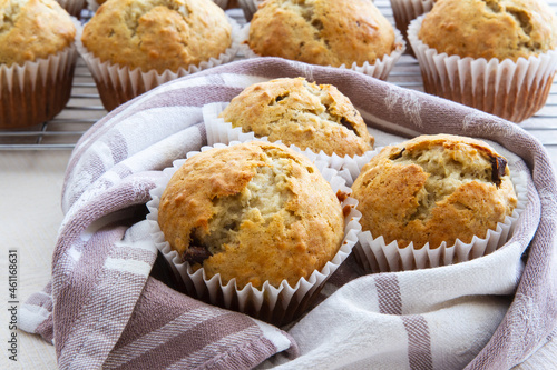 Freshly baked homemade banana chocolate chip muffins; Out of the oven muffins in muffin cups photo